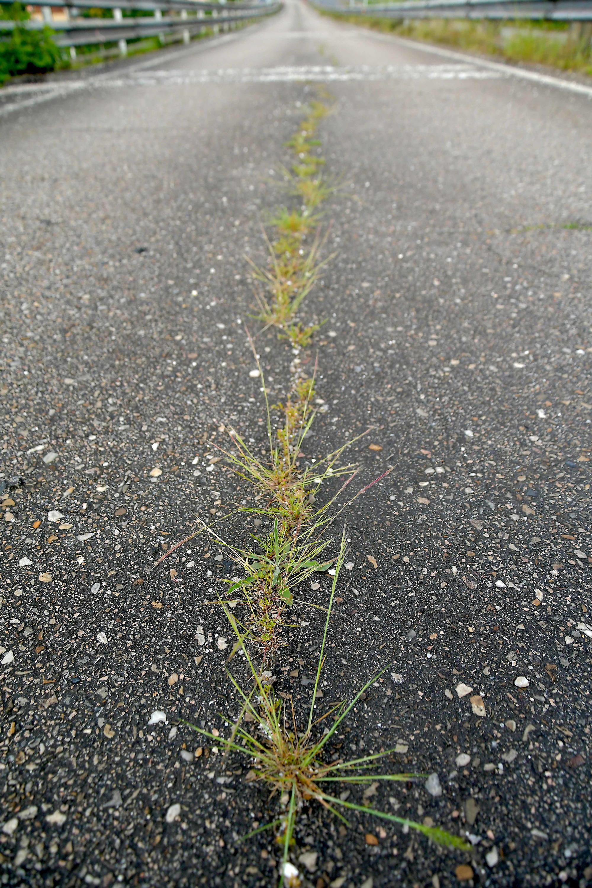 Os coches non pasan nas autoestradas.